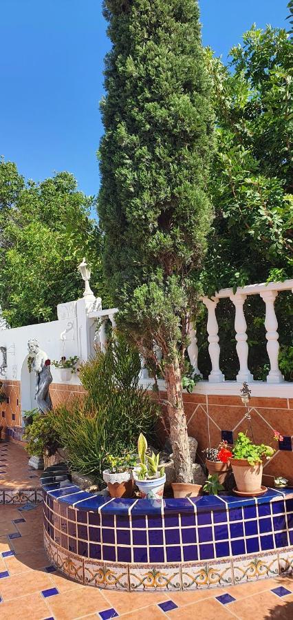Villa Violetta Callao Salvaje Exterior photo